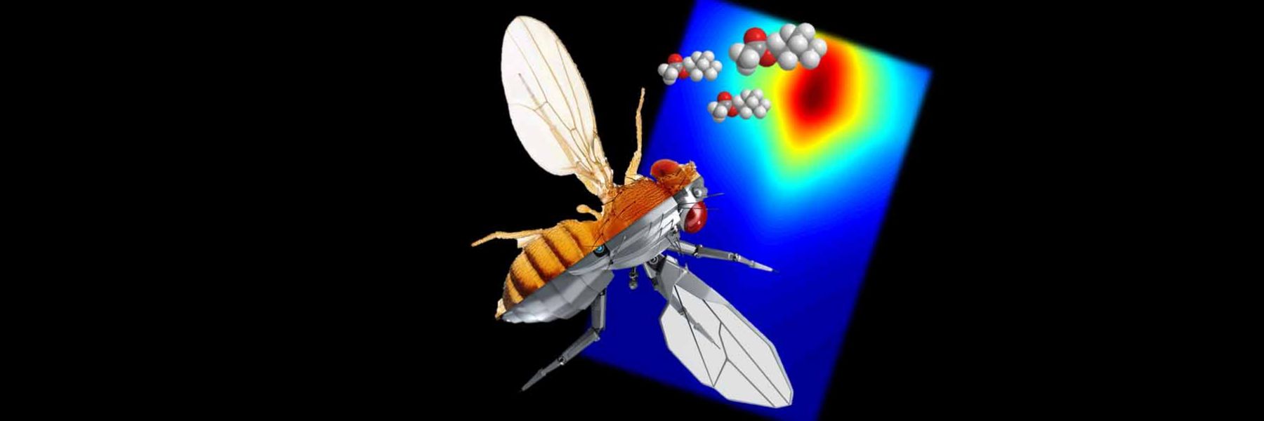 Systems & Quantitative Biology