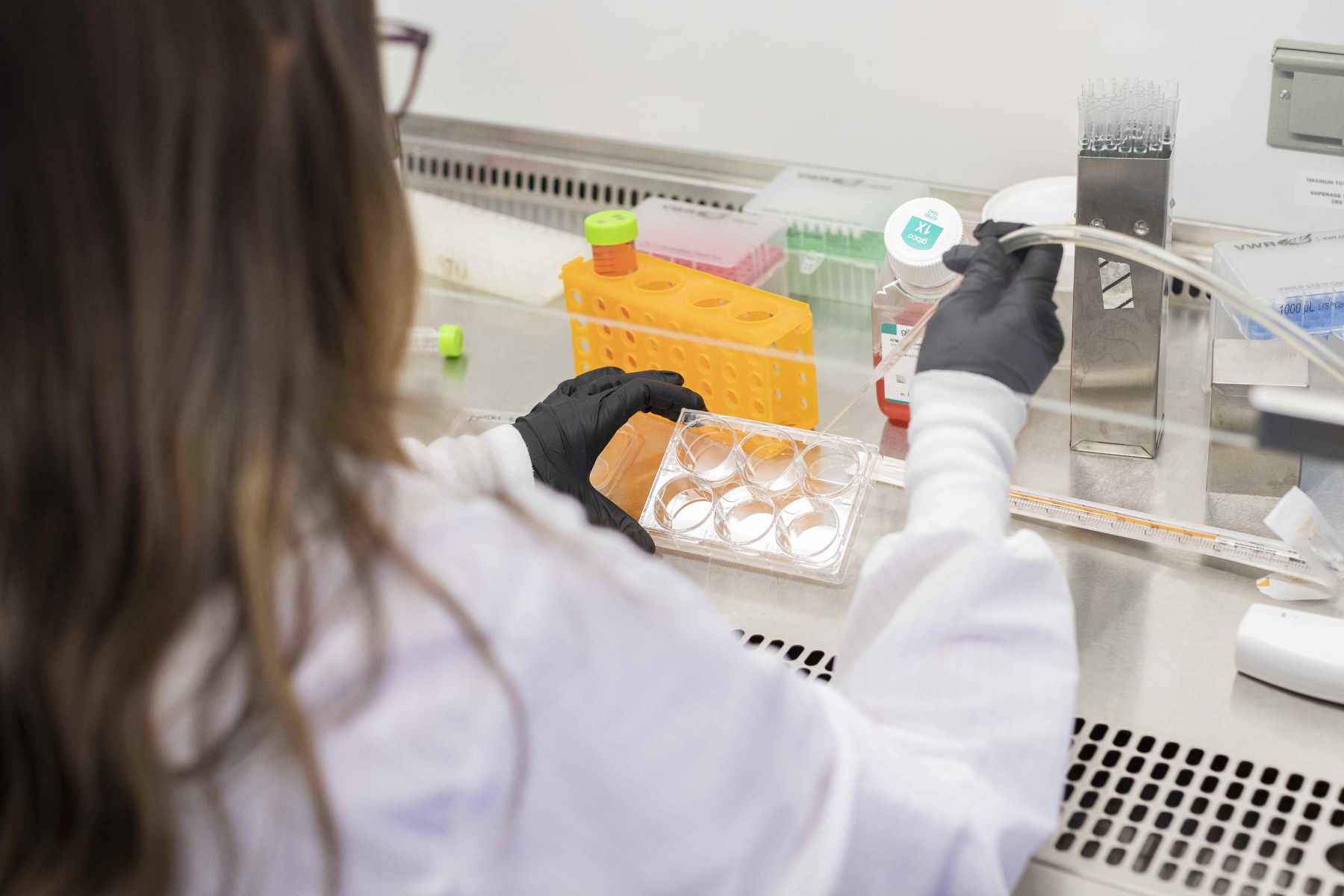 A scientist at a lab desk