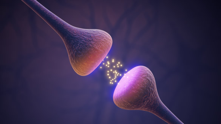illustration of neurons and chemical signaling, source: The Current