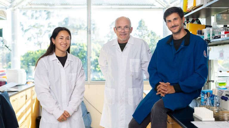 Photo Credit Matt Perko. Photo Credit Matt Perko Researchers Mia Raimondi, left, Christopher Hayes and lead author Michael Costello have uncovered how pathogenic Bordetella bacteria adhere to mammalian airways despite their hosts' natural defenses