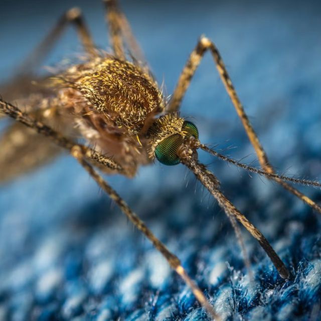 Photo Credit: Photo by Егор Камелев on Unsplash