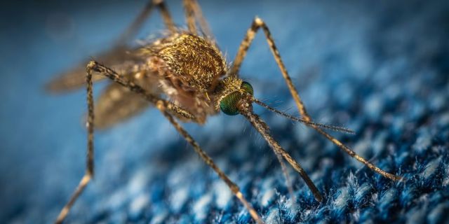 Photo Credit: Photo by Егор Камелев on Unsplash