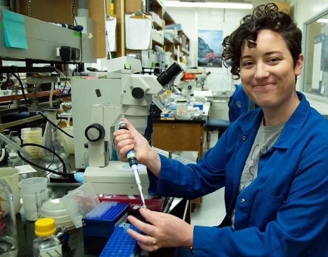 Caroline Ackley conducting research in the lab. Credit: Brian Wolf