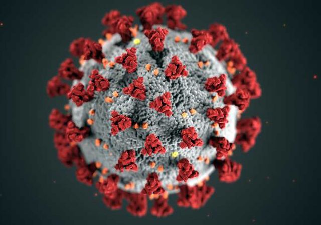 Ultrastructural morphology exhibited by coronaviruses. Credit: Alissa Eckert, MS; Dan Higgins, MAMS