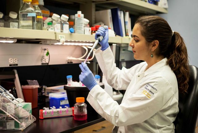 DNA is processed at UCSB before shipping for sequencing. Credit: Gabriel Luna