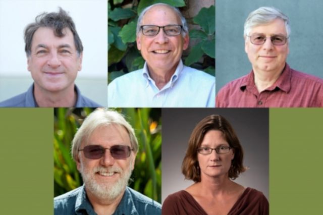 Clockwise from top left, the newest Fellows of the American Association for the Advancement of Science are: Mark Bowick (Physics), Richard Mayer (Psych & Brain), Chris Palmstrøm (Electrical and Computer Engineering, and Materials), Julie Simpson (Molecular, Cellular and Developmental Biology) and Dar Roberts (Geography)