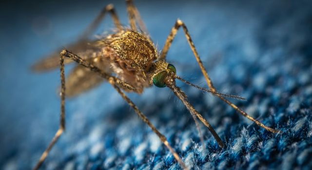 Photo Credit: Photo by Егор Камелев on Unsplash