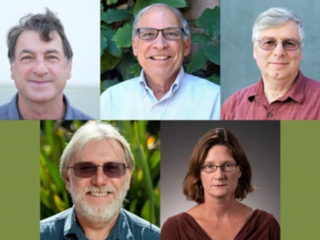 Clockwise from top left, the newest Fellows of the American Association for the Advancement of Science are: Mark Bowick (Physics), Richard Mayer (Psych & Brain), Chris Palmstrøm (Electrical and Computer Engineering, and Materials), Julie Simpson (Molecular, Cellular and Developmental Biology) and Dar Roberts (Geography)