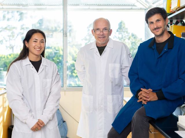 Photo Credit Matt Perko. Photo Credit Matt Perko Researchers Mia Raimondi, left, Christopher Hayes and lead author Michael Costello have uncovered how pathogenic Bordetella bacteria adhere to mammalian airways despite their hosts' natural defenses